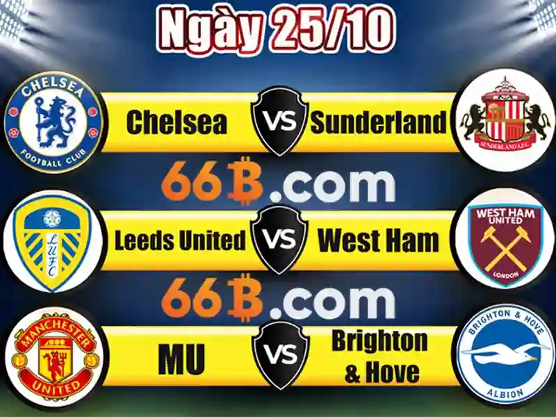 66b nguyễn sỹ sách p15 tân bình là gì – hiểu đúng và áp dụng