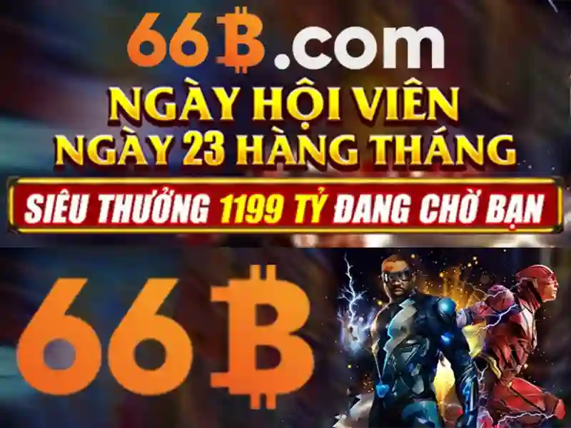 66b là gì