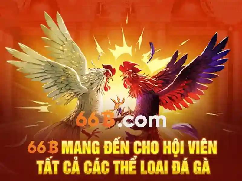 Tổng quan về 66B