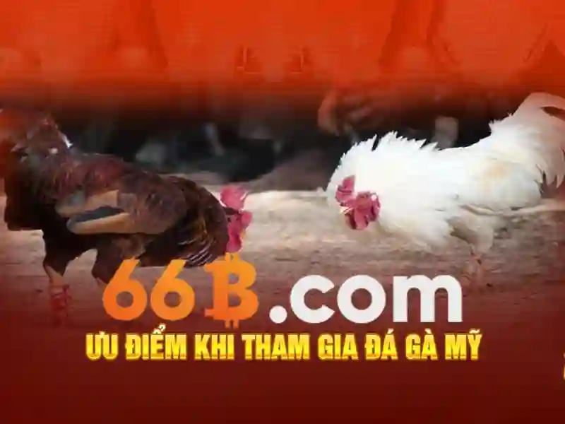 Nguồn gốc của 66b