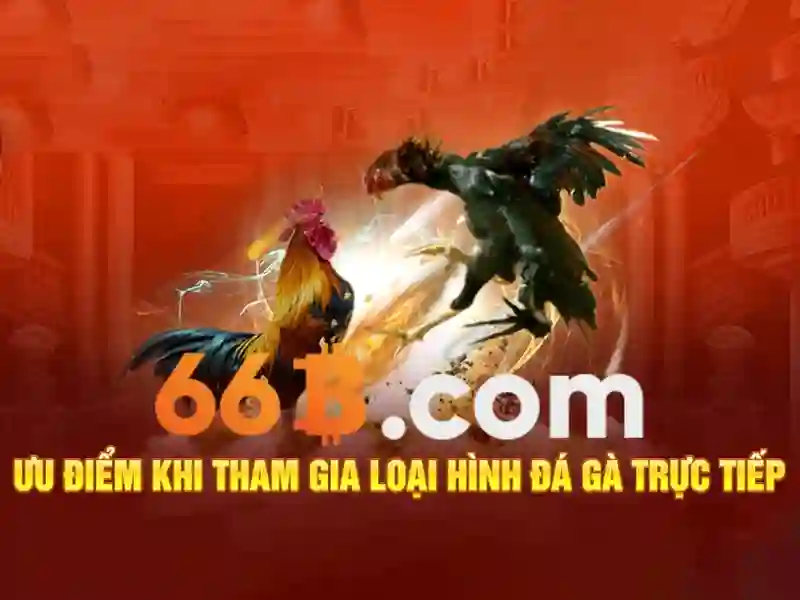 66b it act in hindi – Giới thiệu và khởi đầu