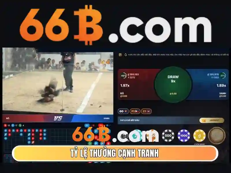 Ứng dụng của 66b trong đời sống số<li style=