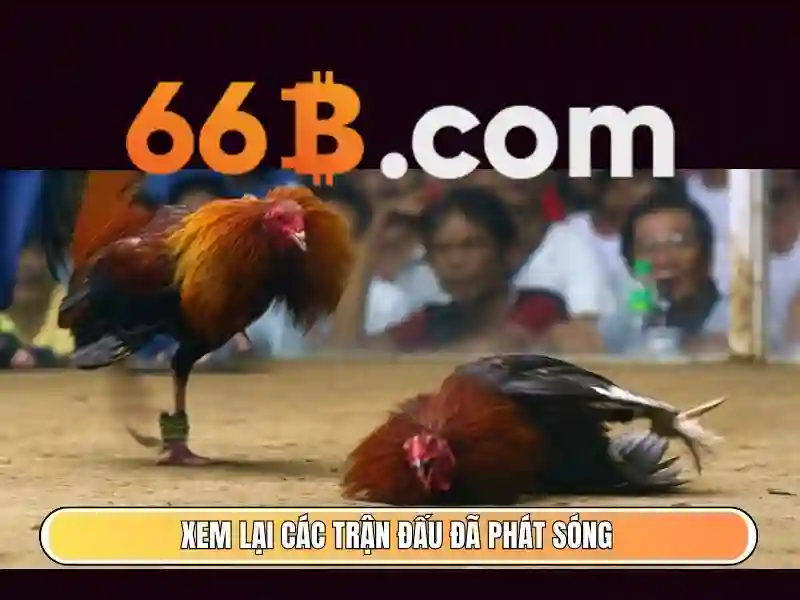 66B là một mô hình ngôn ngữ lớn