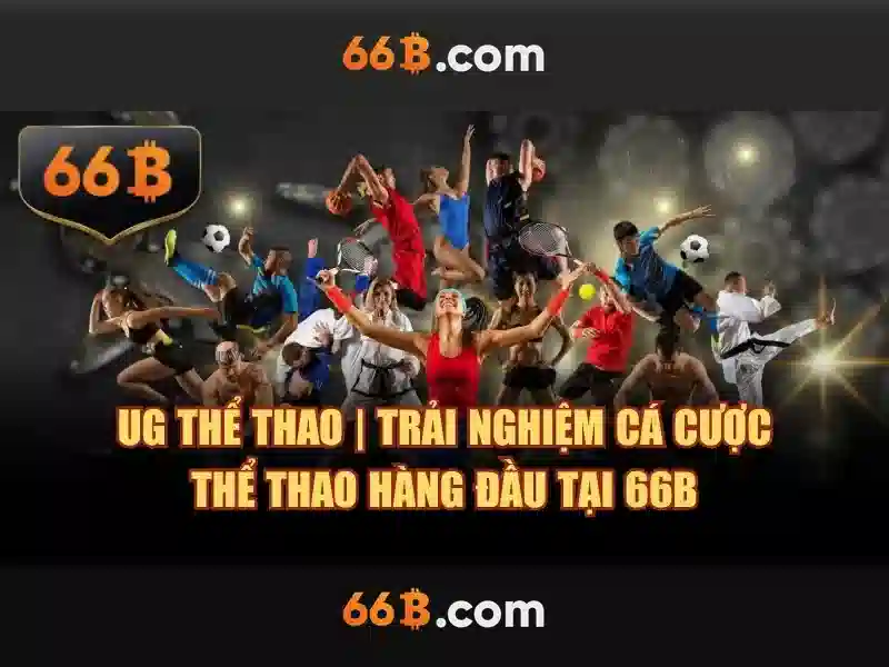 opt 66b – Tổng quan chủ đề và giá trị cốt lõi