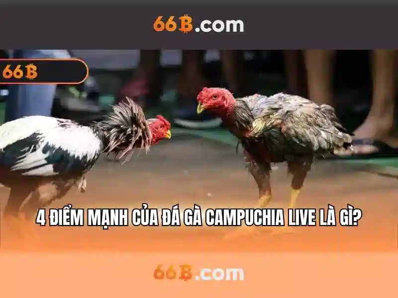 66b la gi va y nghia cua no