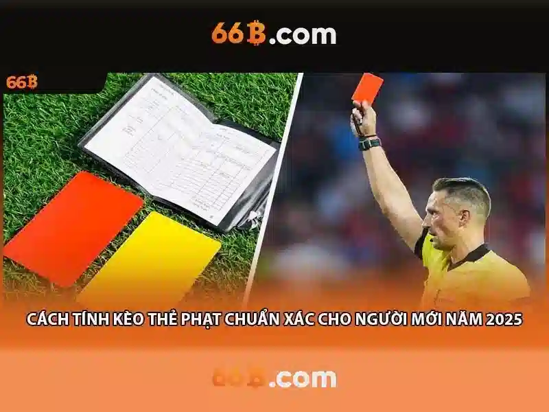 66b: một khái niệm và tầm ảnh hưởng