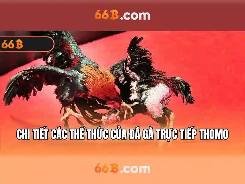 Về mô hình 66B: Hiệu năng, kiến trúc và ứng dụng