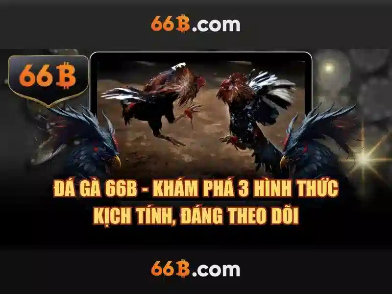 66b triều khúc ứng dụng