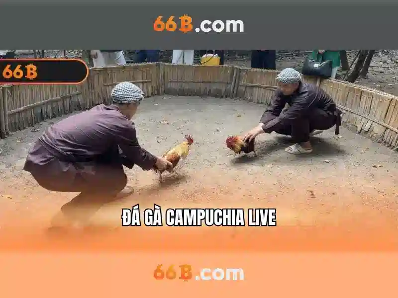 Ứng dụng và thách thức\n<li style=