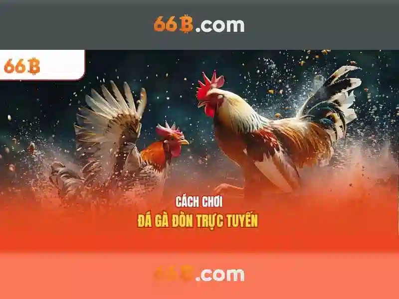 66b trong thời trang áo ngực: hướng dẫn hiểu và áp dụng