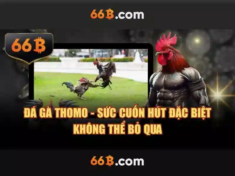 Ứng dụng và tác động của 66b