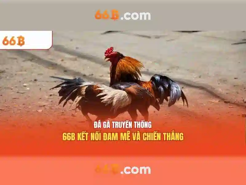 Kiến trúc và tham số