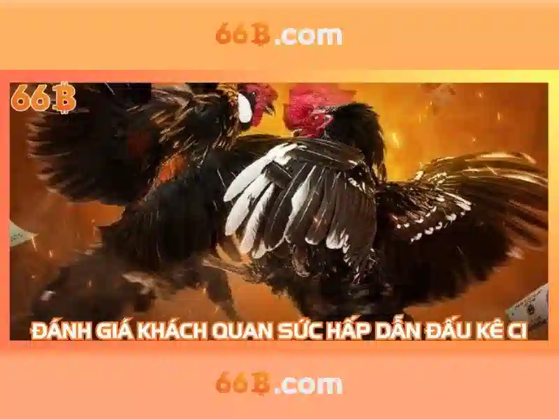 Nguồn gốc và ý tưởng