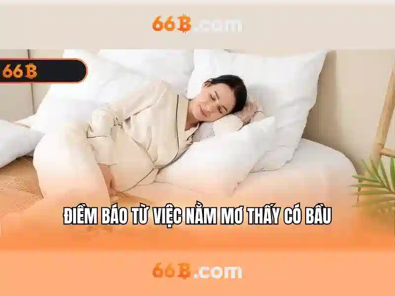 Giới thiệu về 66b