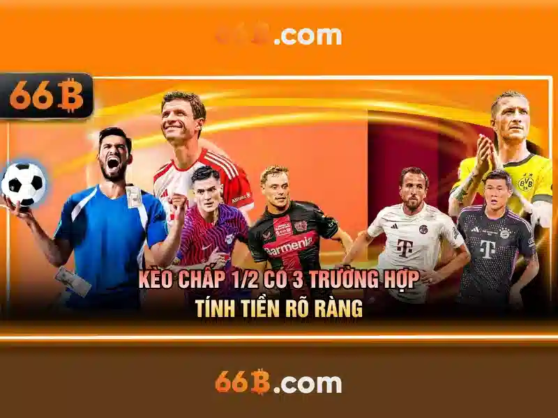 66b cmt8 – Tinh hoa thương hiệu và ứng dụng thực tiễn