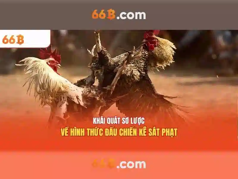 66b: ý nghĩa và ứng dụng