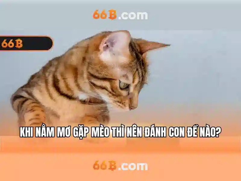 Sản phẩm và dịch vụ của 66b app – ứng dụng thực tế