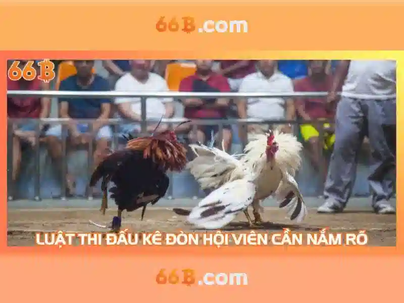 Kiến trúc và học máy