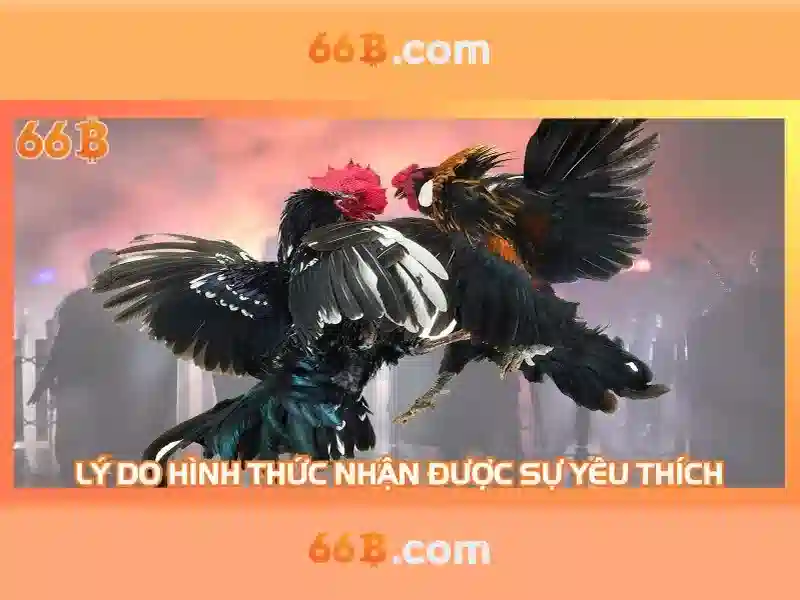 66B: một mô hình ngôn ngữ lớn ở thế hệ mới