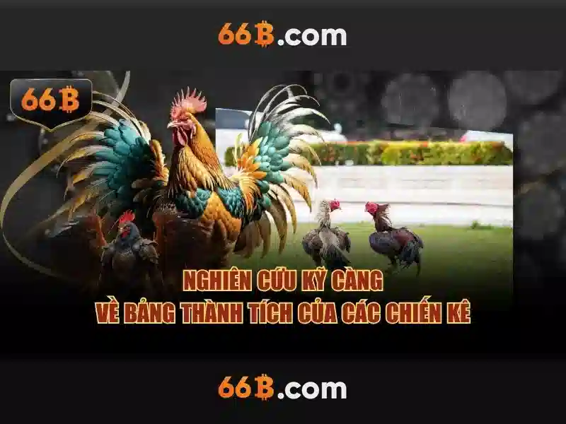 Kiến trúc và hiệu năng