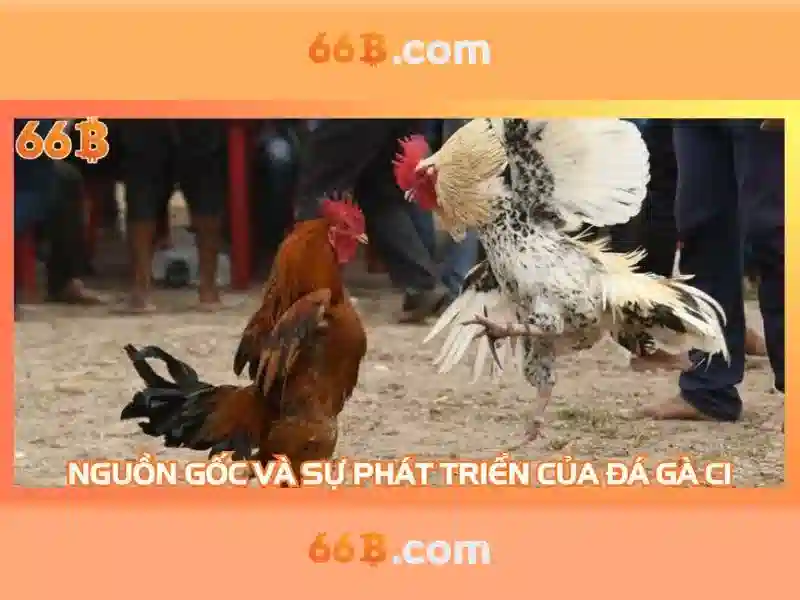 Ứng dụng và thách thức của 66b