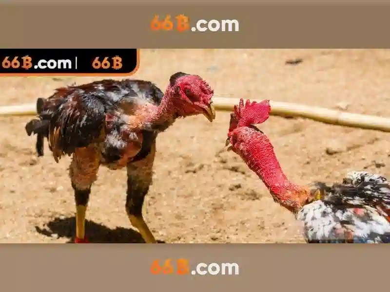 Phát triển và tương tác xã hội