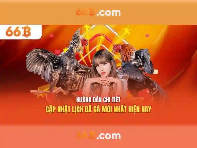 66b và lịch sử hình thành
