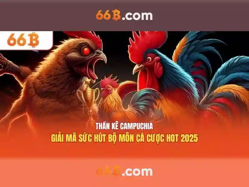 66b: Khái niệm và tầm ảnh hưởng