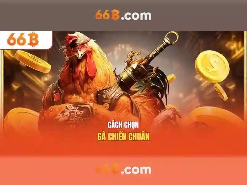66b: Khái niệm và tầm ảnh hưởng