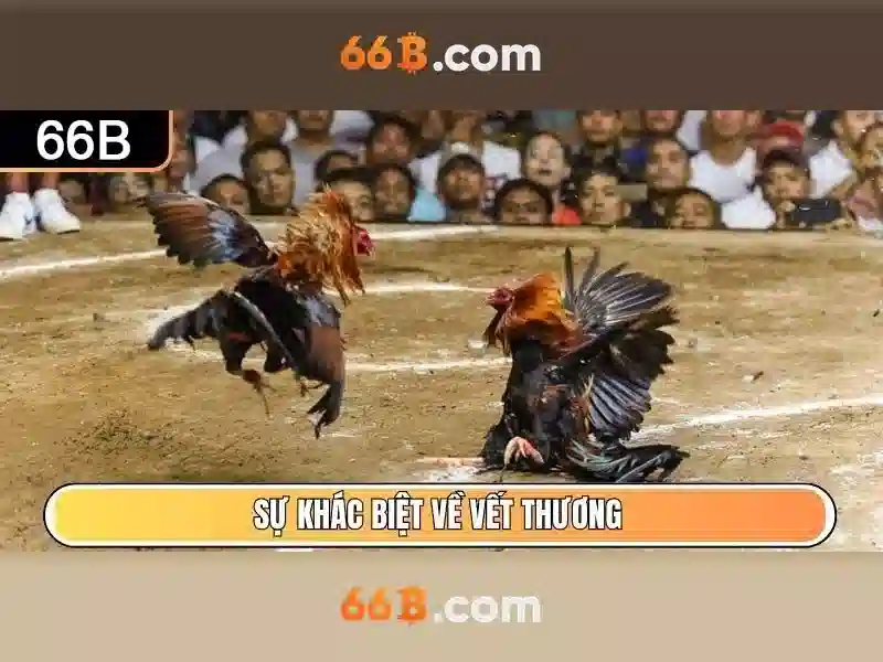 66b là gì và cách hoạt động của nó