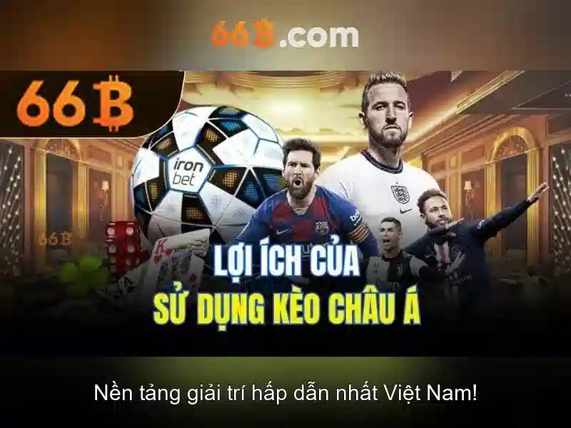 Đặc điểm nổi bật của 66b