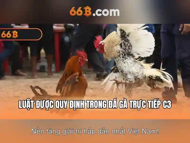 66b: Mô hình ngôn ngữ lớn mang tính đột phá