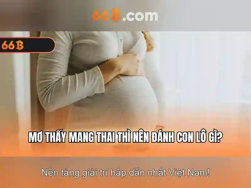 66b và hành trình khám phá công nghệ