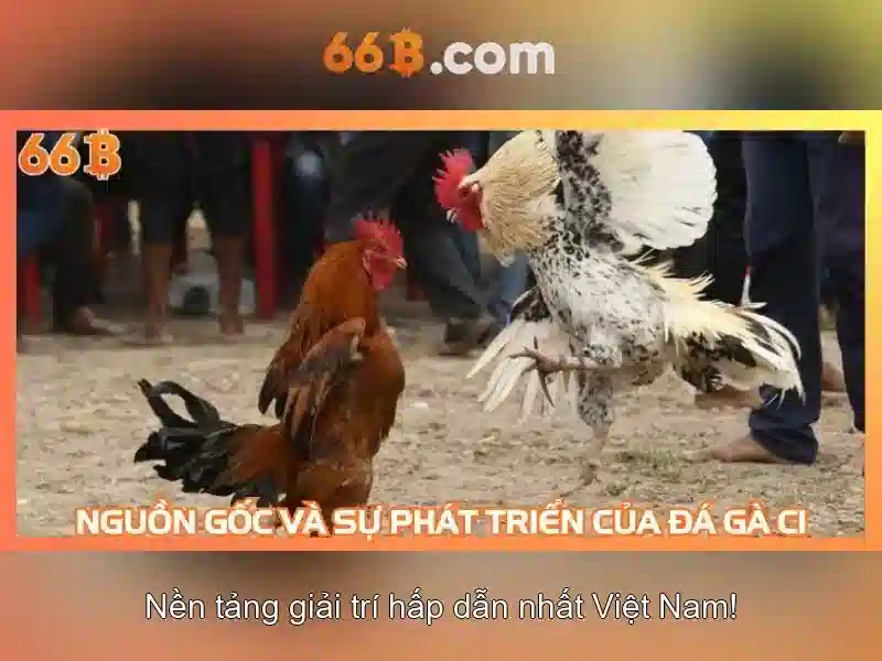 So sánh với các mô hình khác
