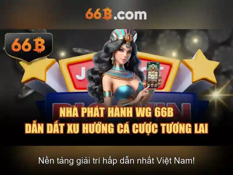 66B là gì