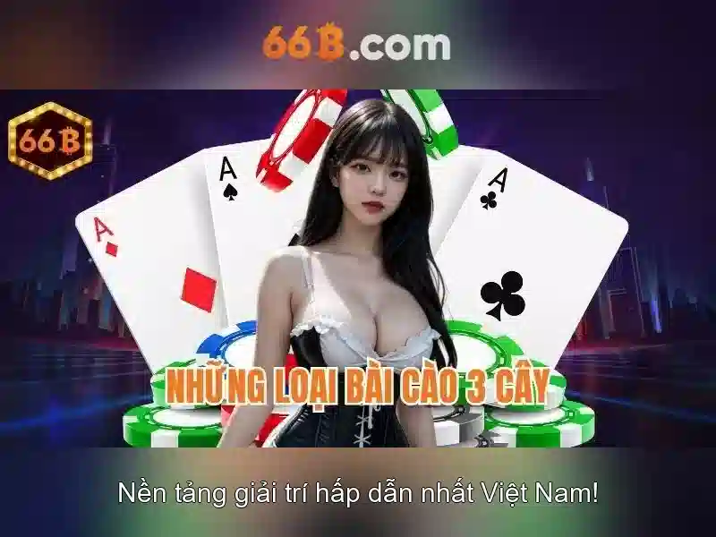66b là gì và những điều cần biết