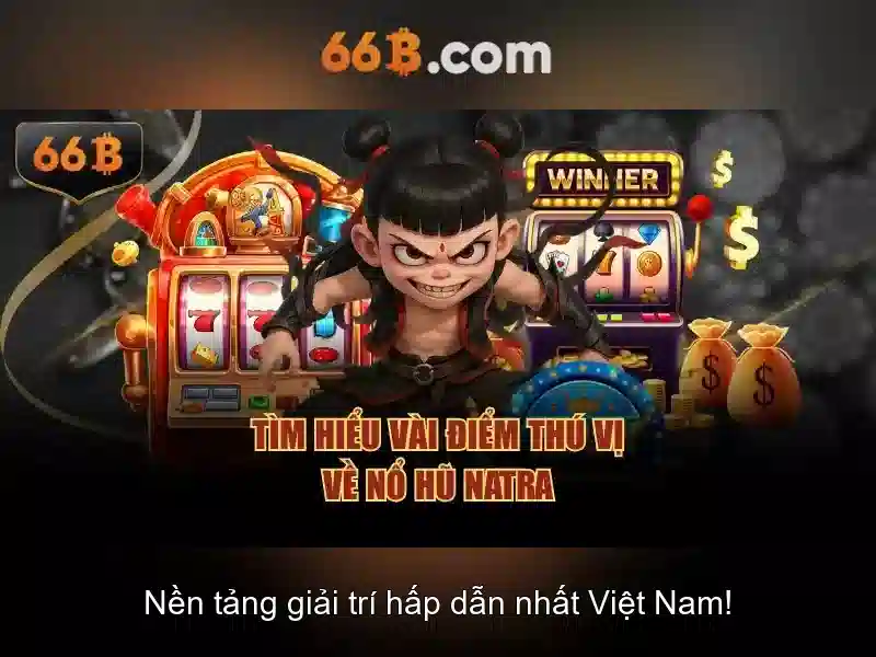66b: khái niệm đa nghĩa và hành trình khám phá
