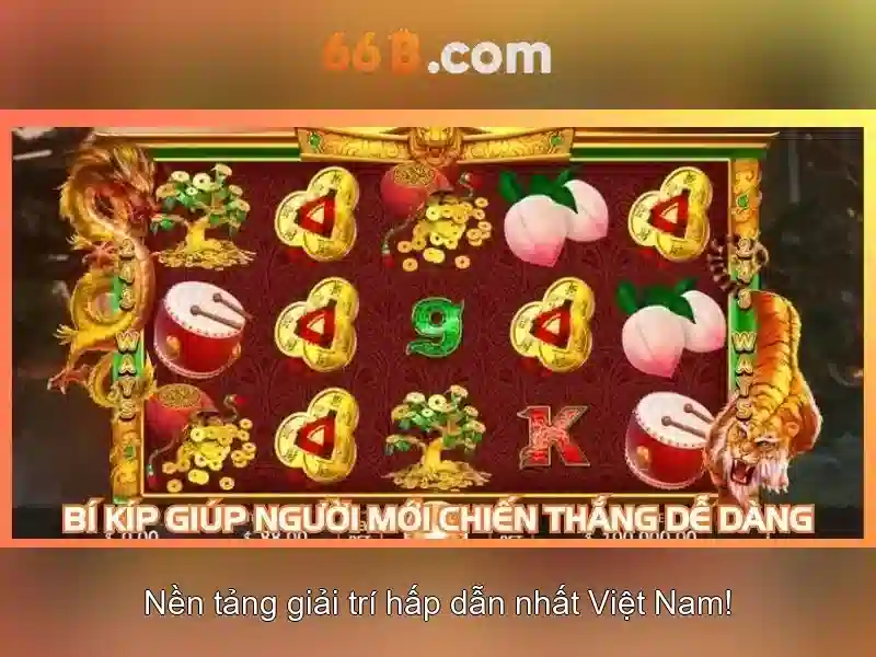66b: Khái niệm và ý nghĩa