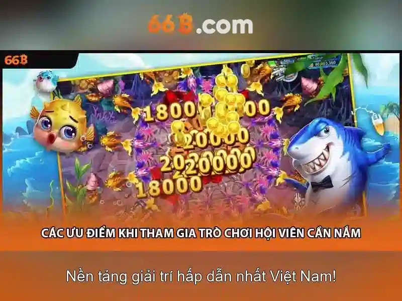 Ứng dụng thực tế