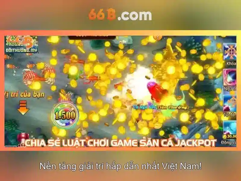 66B là gì và tại sao nó gây chú ý
