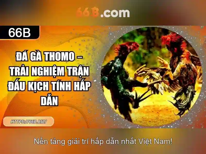 Đào tạo và dữ liệu