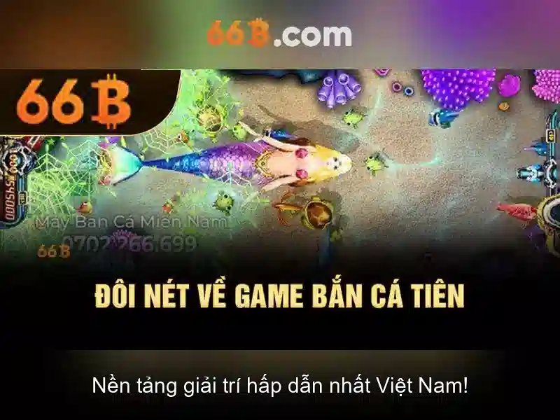 66b là gì?