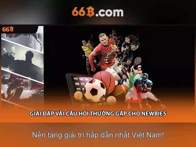 66b: Nền tảng ngôn ngữ lớn và những ứng dụng