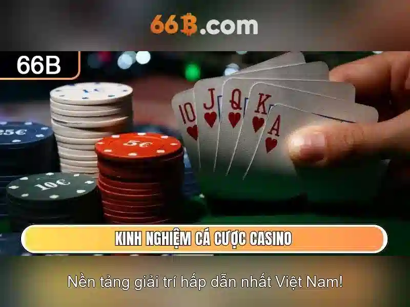Hiệu năng và ứng dụng