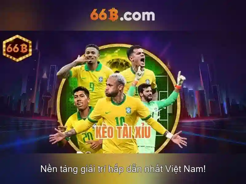 66B là gì?
