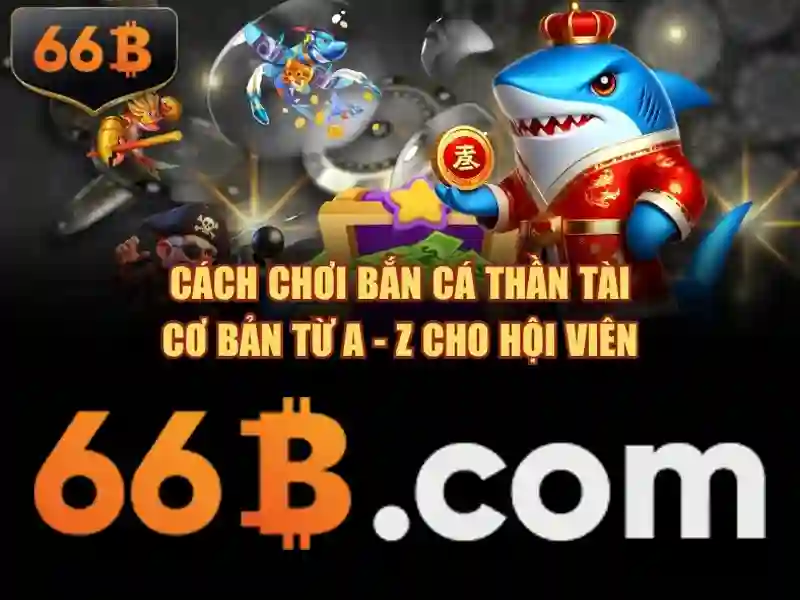 66b bus route: Hành trình vận tải thông minh và trải nghiệm