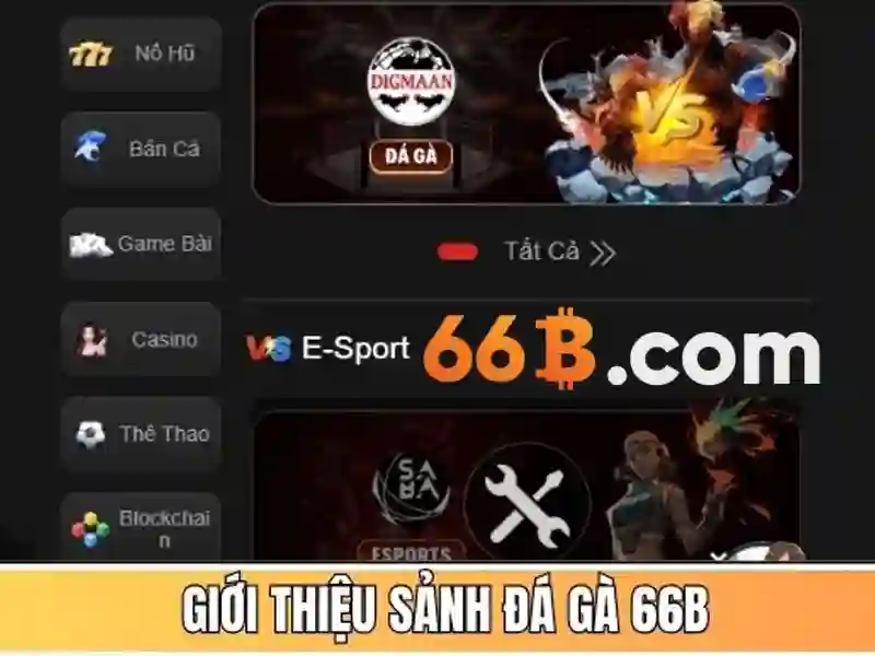 66b it act in hindi: Hành trình thương hiệu và giá trị