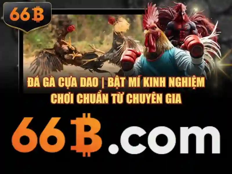 Dac diem muc tieu va han muc