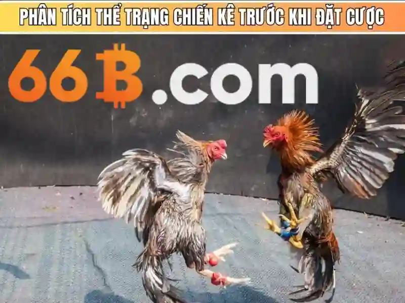 66b mới nhất: trải nghiệm đột phá và hành trình thương hiệu