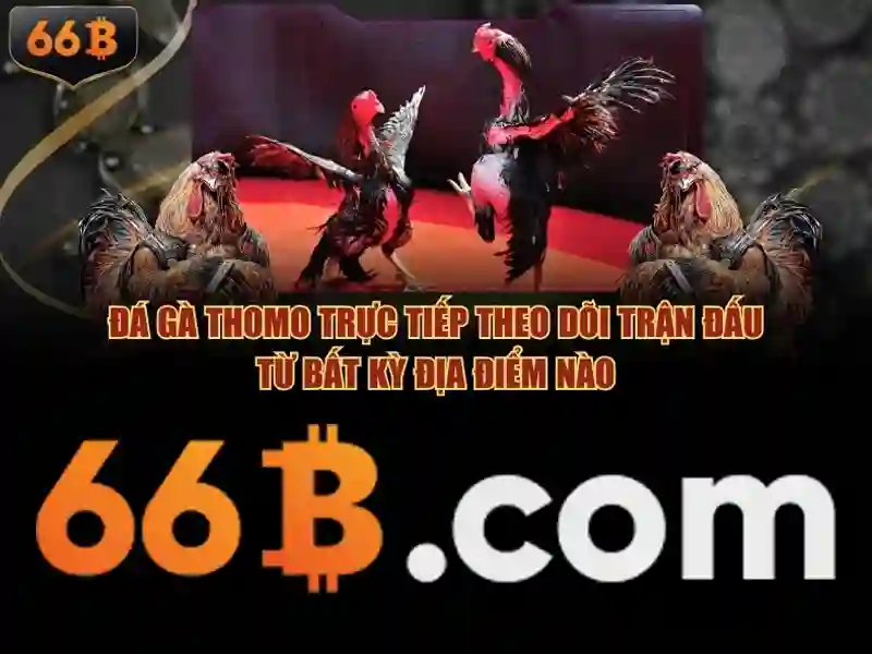 tải 66b: tổng quan, trải nghiệm và đánh giá hiệu quả